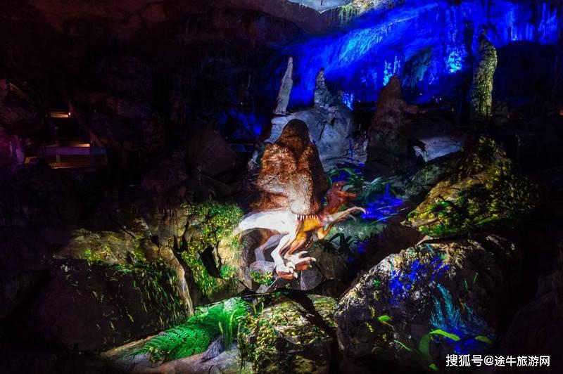 深入了解炒土豆和炸土豆有什么区别?的知识星球平台,实用有效的解决方案