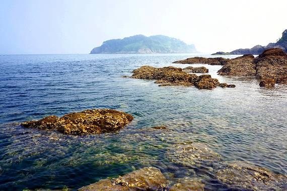 全民剧本大师内置菜单