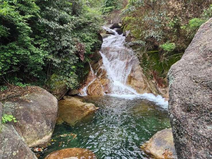 春雨直播app