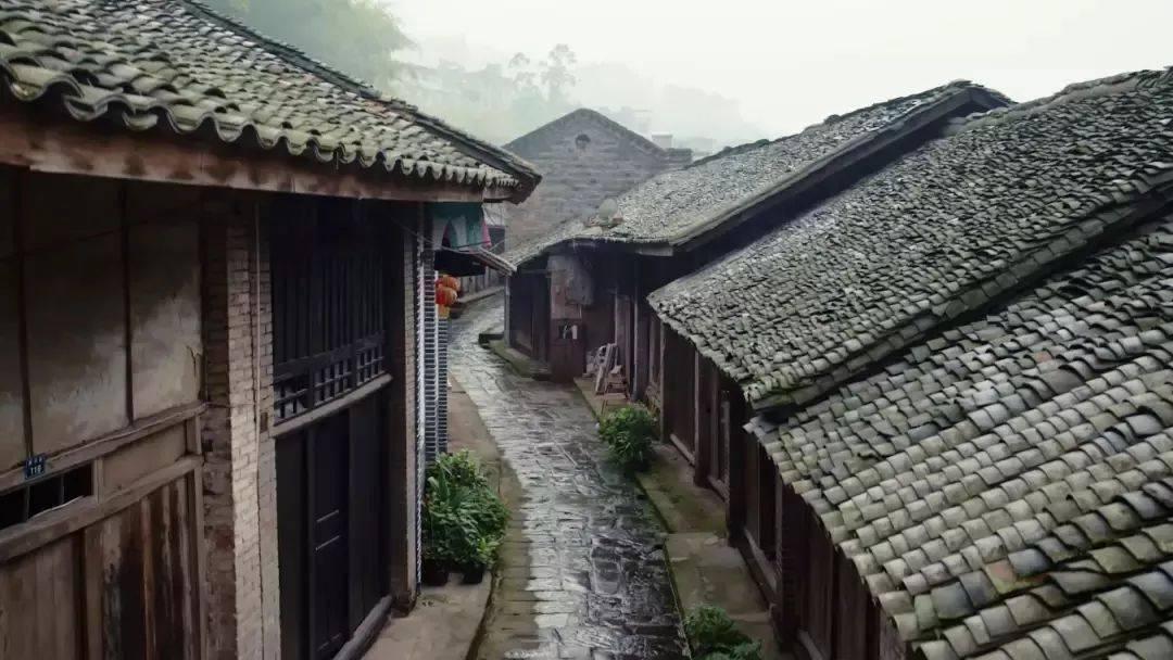 创作猫