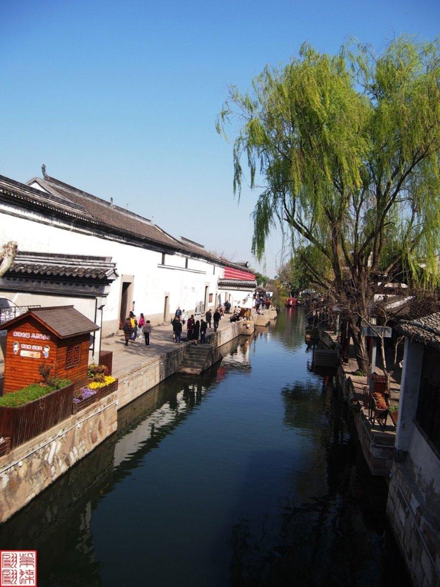 动物帮帮忙保卫家园